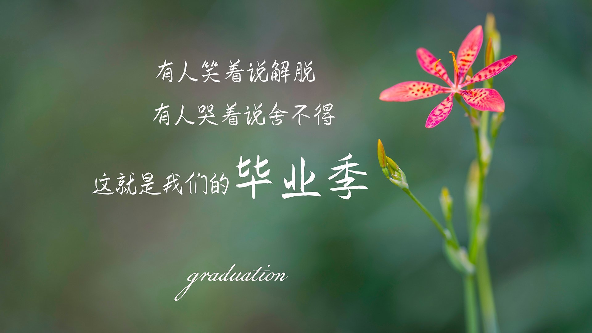 东方魔法与蓝色铁壁的对话，久保建英如何刺穿美国队的防线