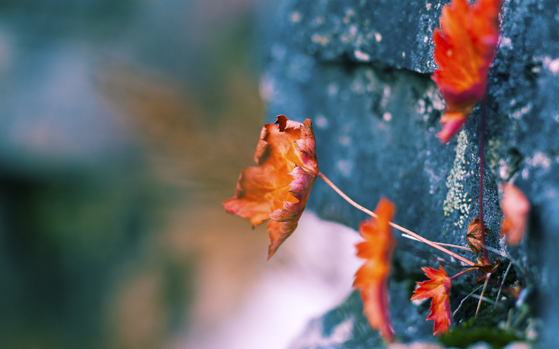 压哨绝杀！热火险胜灰熊，英格拉姆加冕关键先生