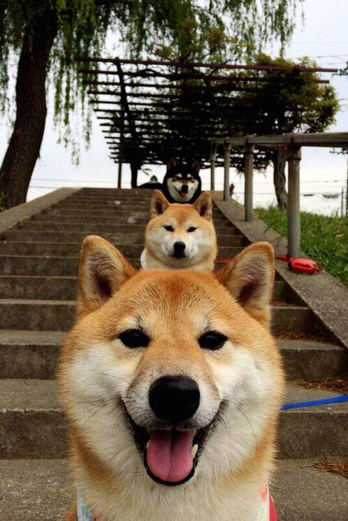 F1年度争冠之夜，贝恩如何在商业赛道持续制造杀伤