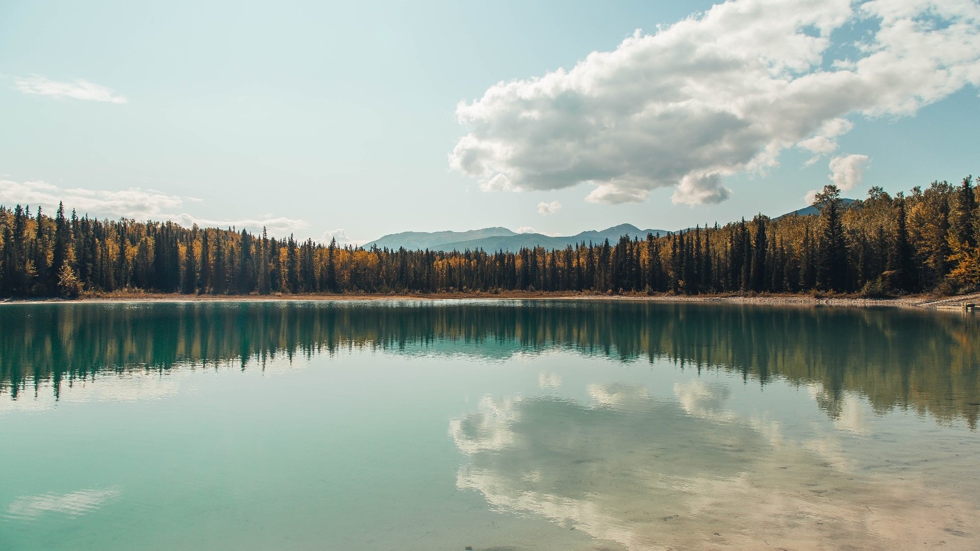 当深圳的钢筋丛林，拥抱印第安纳的篮球魔法，哈利伯顿的生死时刻