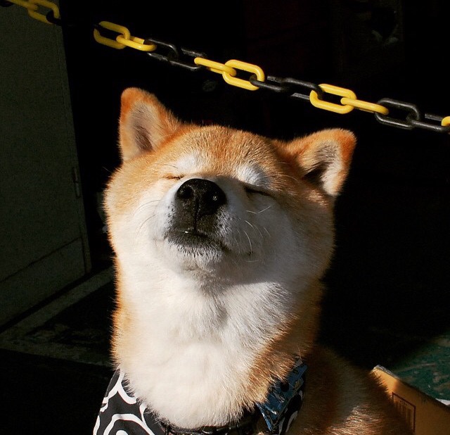 世俱杯分组-绝杀！北京队力克勇士，武切维奇终场制胜成关键先生