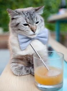 世俱杯分组-暗夜燃火，拉什福德欧冠半决赛的压制级交响