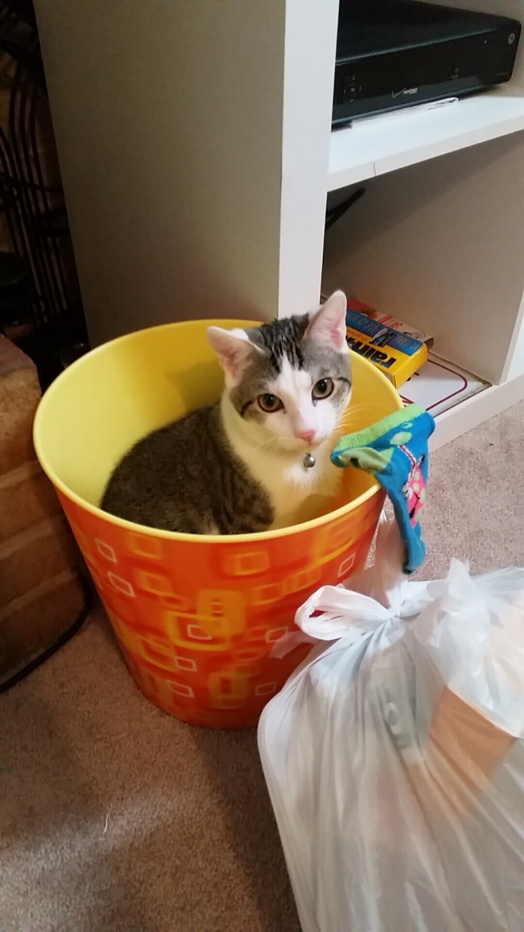 世俱杯改制-体系碾压球星！李刚仁的闪耀与亚特兰大的胜利揭示足球真谛