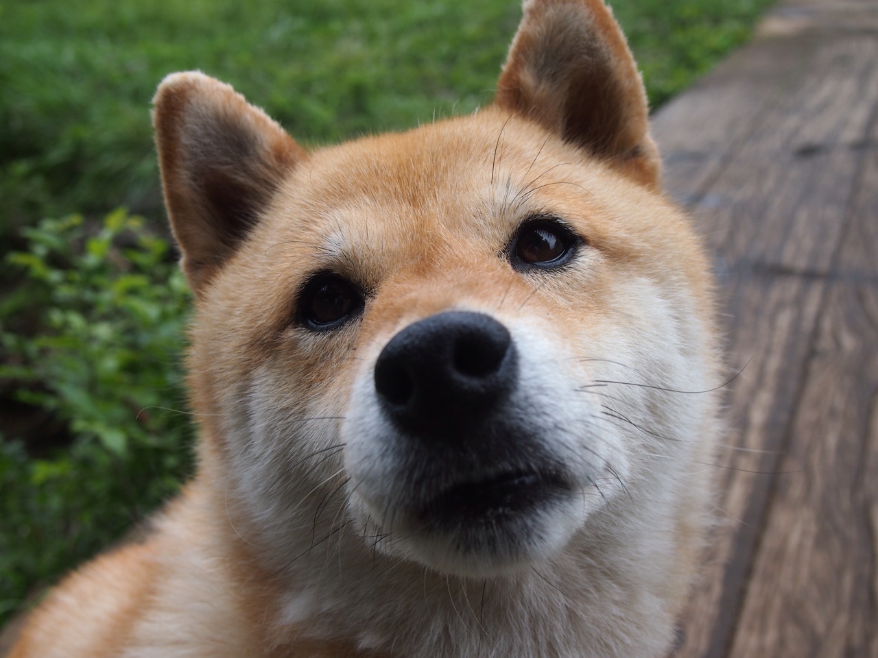 平行时空的交锋，当新疆飞虎速胜费城76人