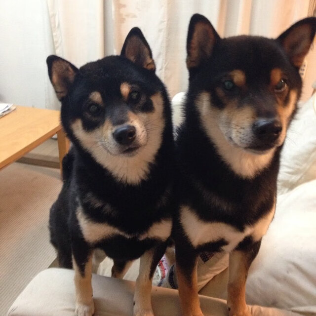 世俱杯赛程-蓝桥的雨，救赎的光