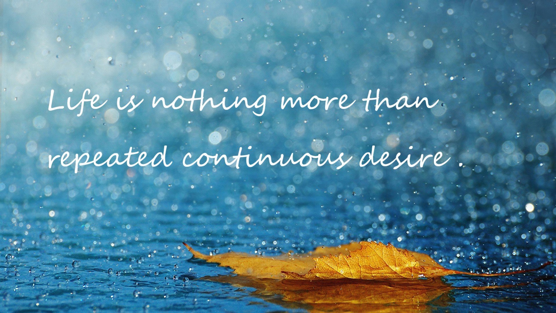 双线争锋,F1揭幕战激战正酣,辽宁队淘汰赛力克黄蜂