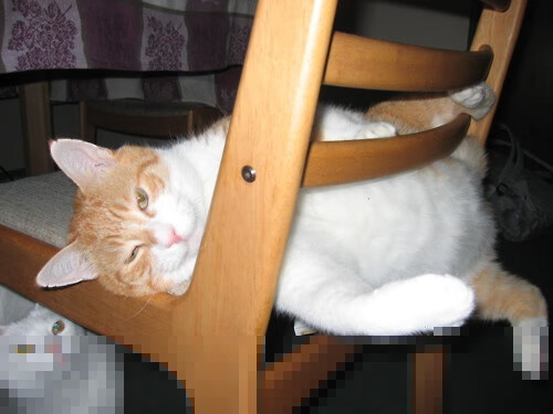 迪巴拉金左脚如手术刀出鞘，哥伦比亚防线在他面前形同虚设