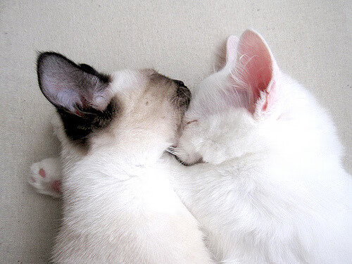 末节狂飙！米切尔独砍19分导演山西逆转好戏