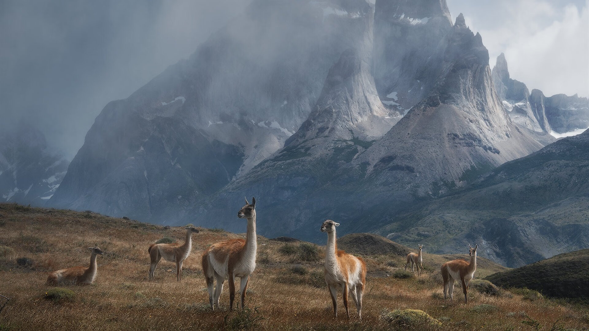 世俱杯奖金-深圳队正面击溃步行者，文班亚马空砍40+刷新纪录