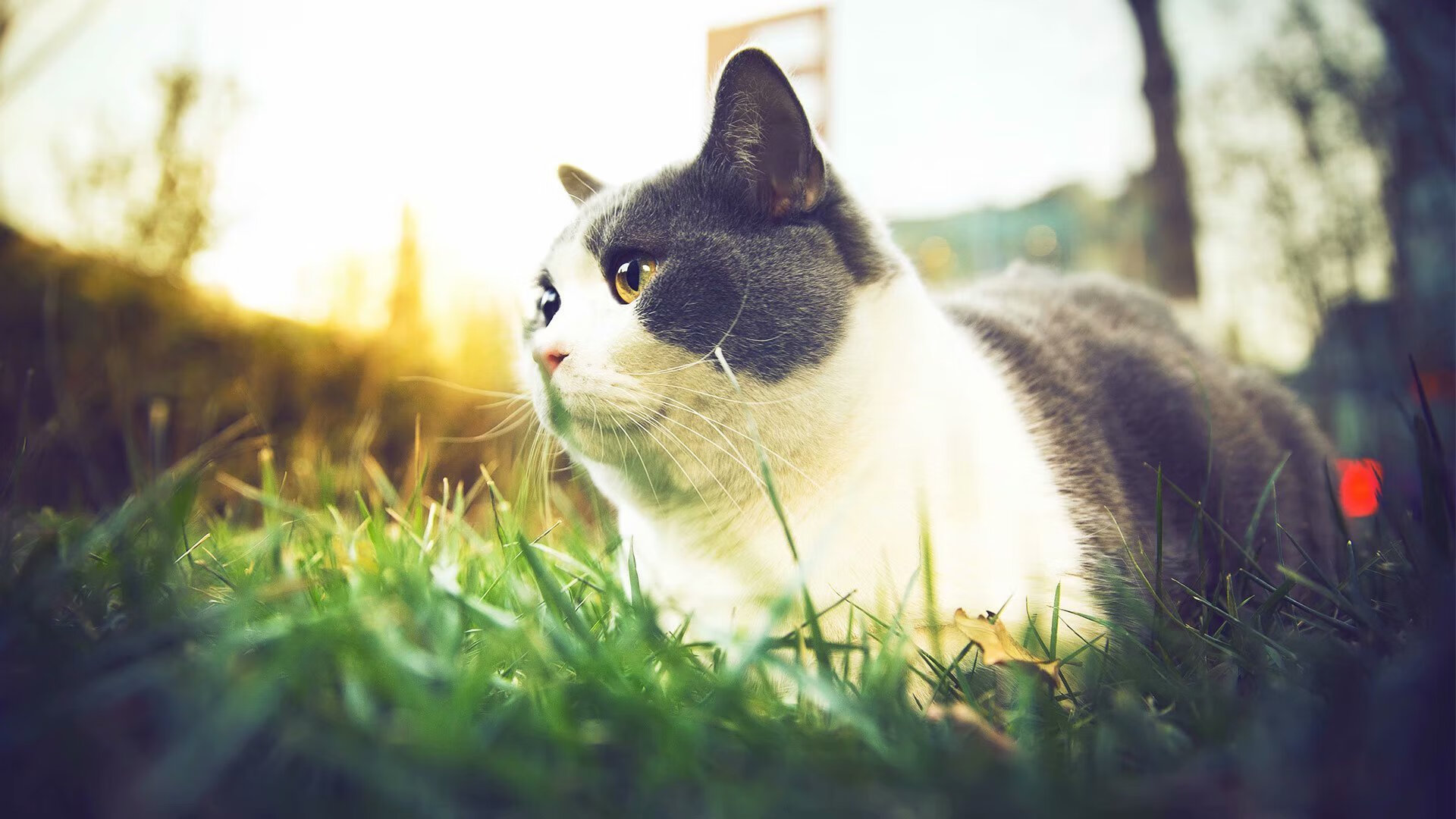 门迪一锤定音！皇马热身赛惊险战胜委内瑞拉，铁闸化身关键先生