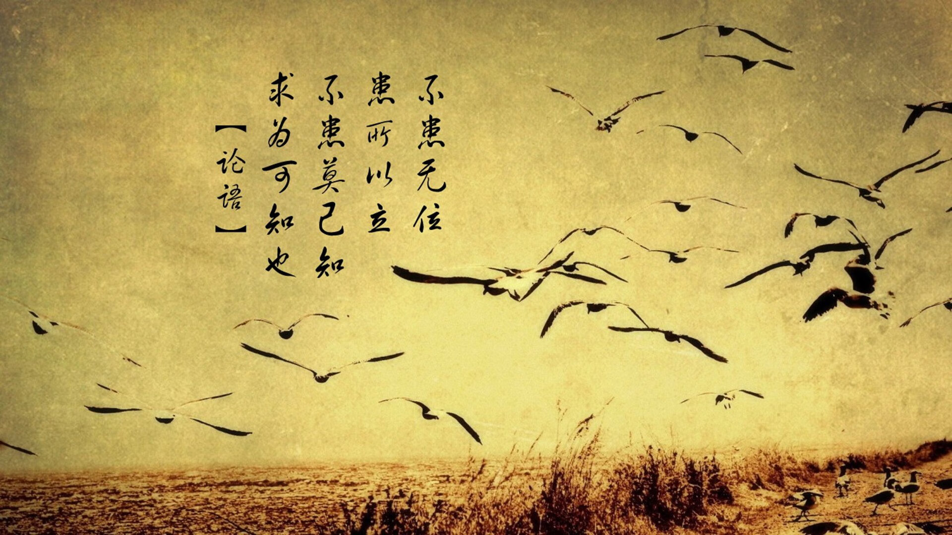 撕裂之城闪耀的沉默杀手,英格拉姆冷剑出鞘,终结独行侠狂飙