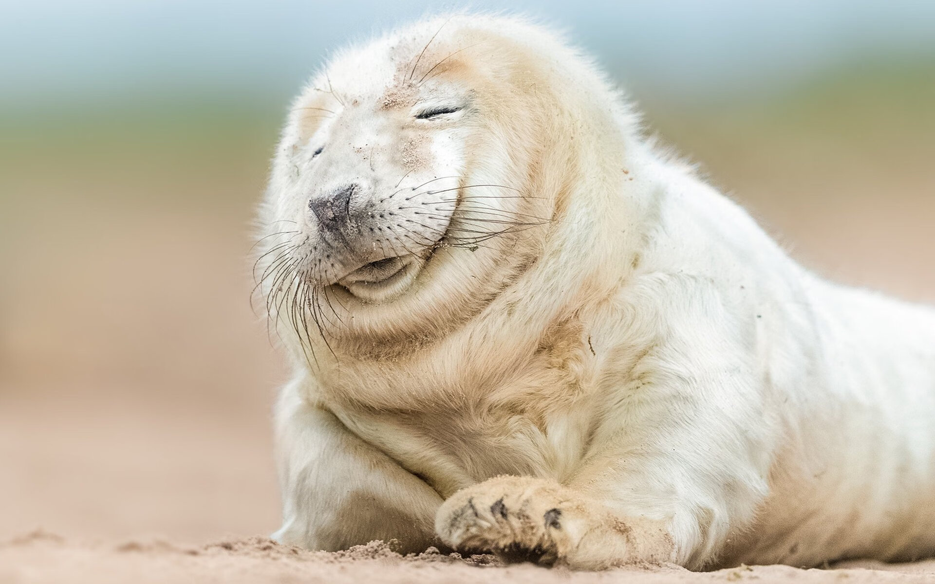 世俱杯时间-北极光降临绿茵场，当加克波在世界排名争夺战中接管一切