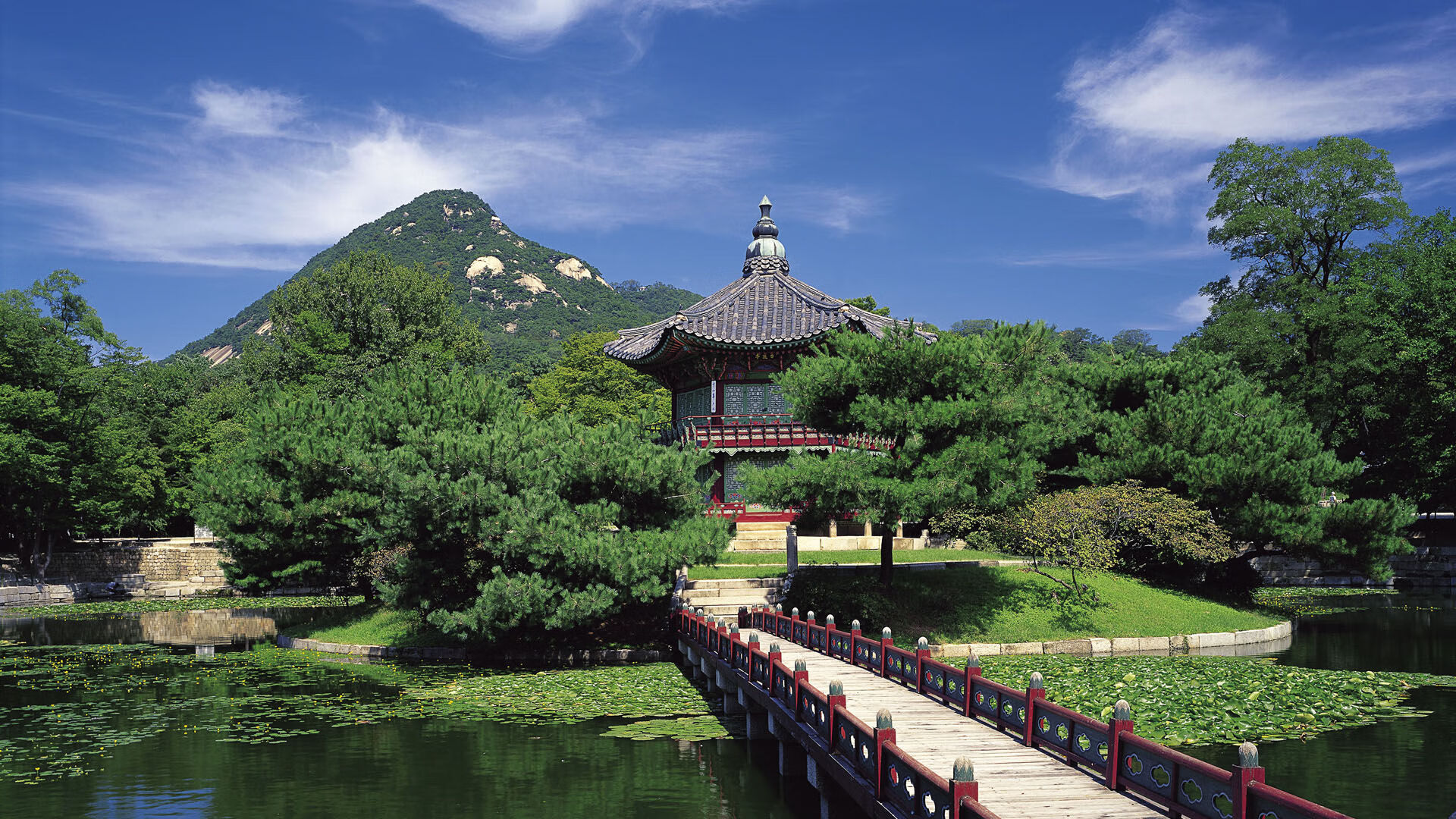 北京队一波流击溃奇才，欧文狂飙引爆赛场巅峰对决