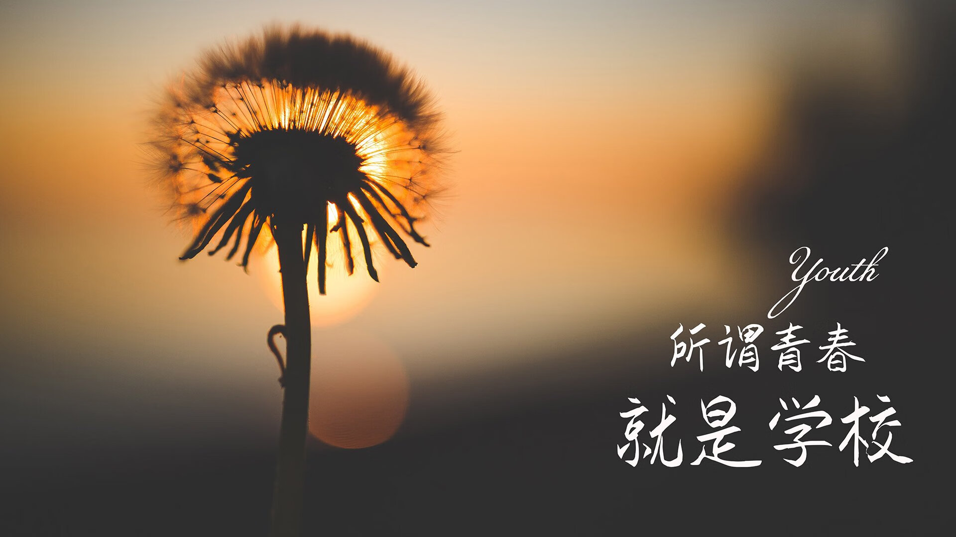 世俱杯直播-教科书般的演绎，杰伦格林率新疆队鏖战步行者