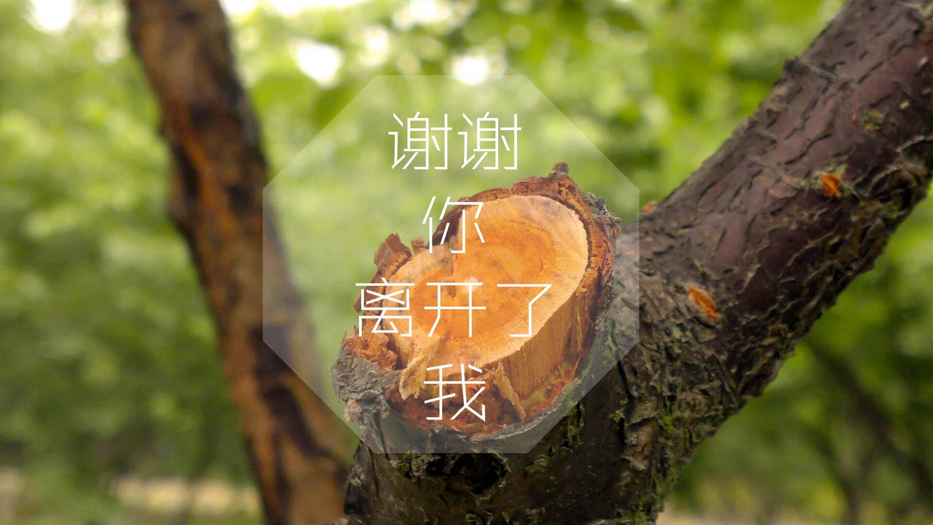 沙漠风暴惊世界,伊拉克绝杀葡萄牙,佩德里一击定乾坤