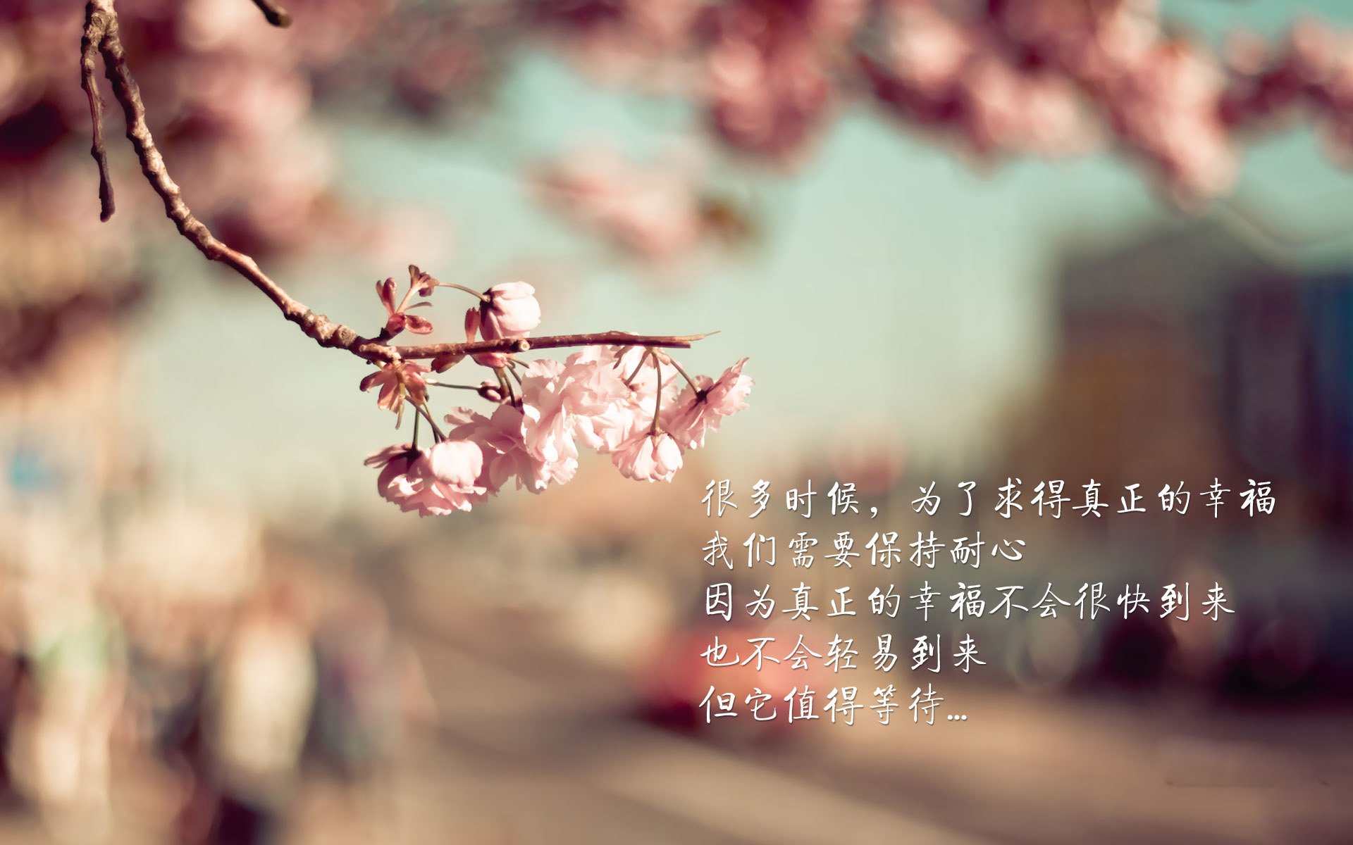德容闪耀全场，西班牙绝杀波兰！2026世界杯H组上演史诗级强强对话