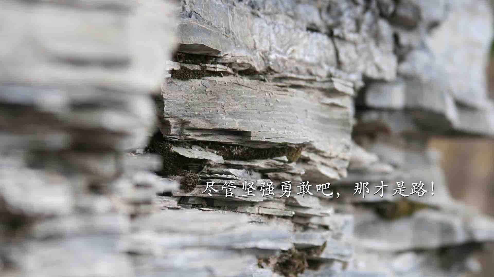 冰与火之歌，2026世界杯半决赛，苏亚雷斯致命一击送美国挺进决赛