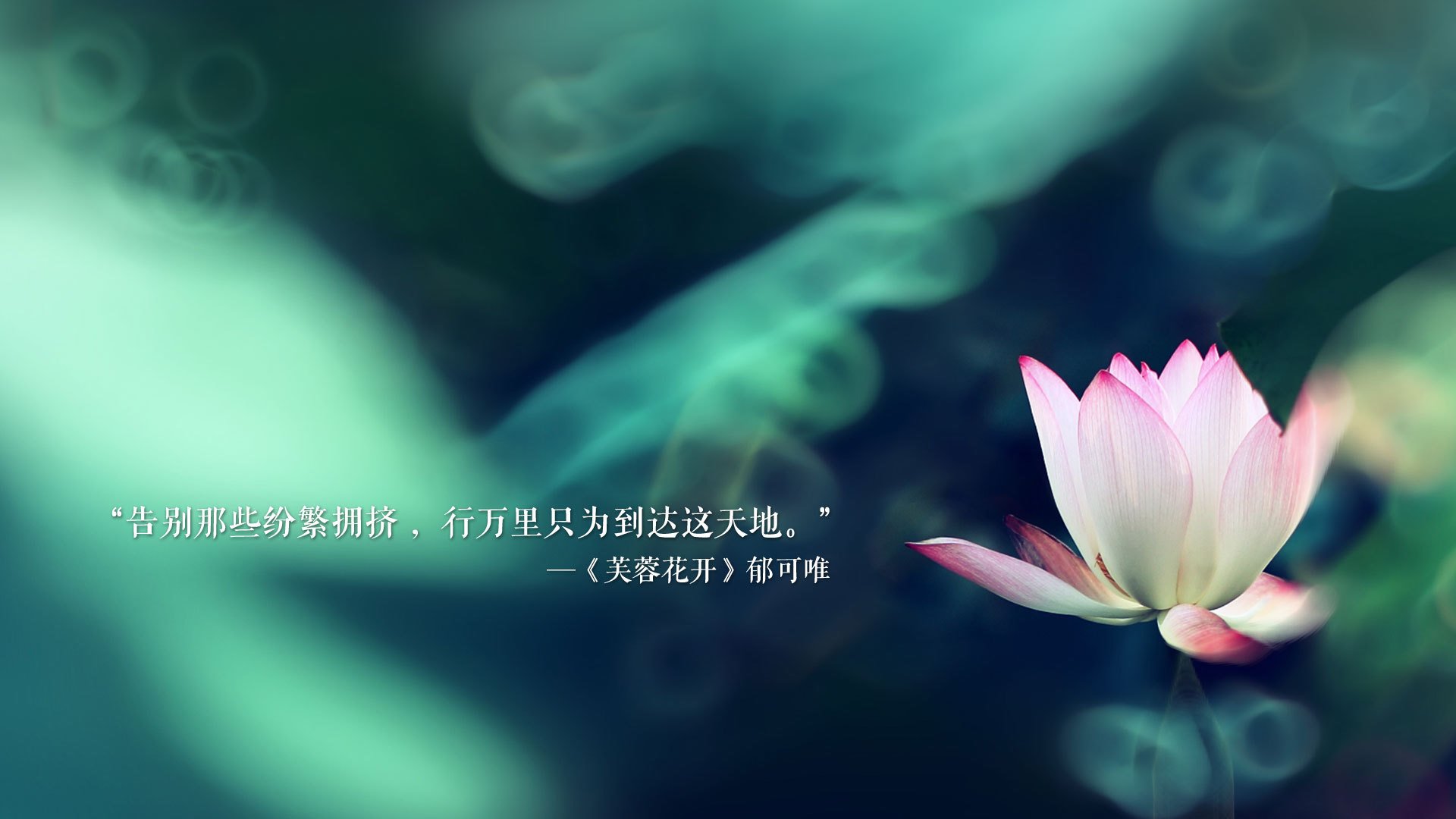 世俱杯-魔笛余音震波斯，克罗地亚闪电战击溃伊朗，哈兰德独造三球闪耀C组